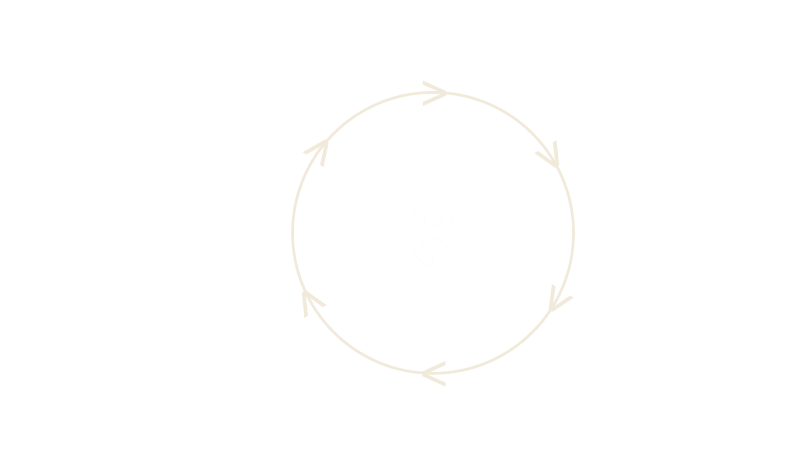 lifecycle